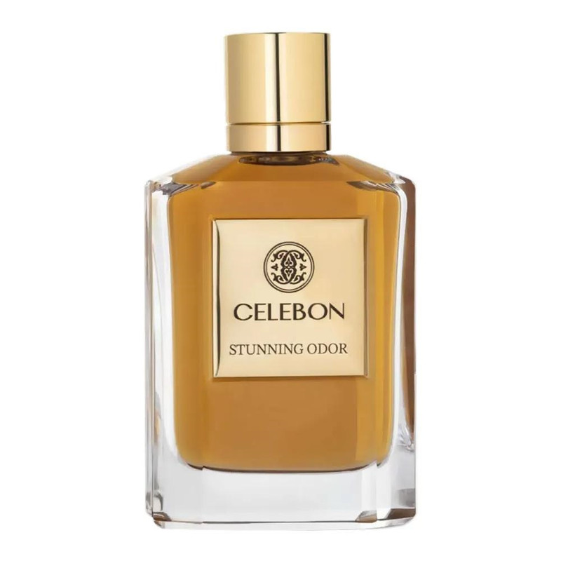 ادو پرفیوم مردانه سلبون مدل Stunning Odor با رایحه گرم حجم 100 میلی لیتر