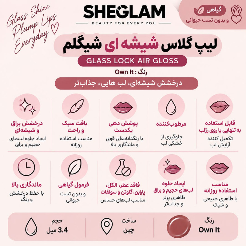 لیپ گلاس شیگلم مدل Own It شماره 312 رنگ رز قهوه ای